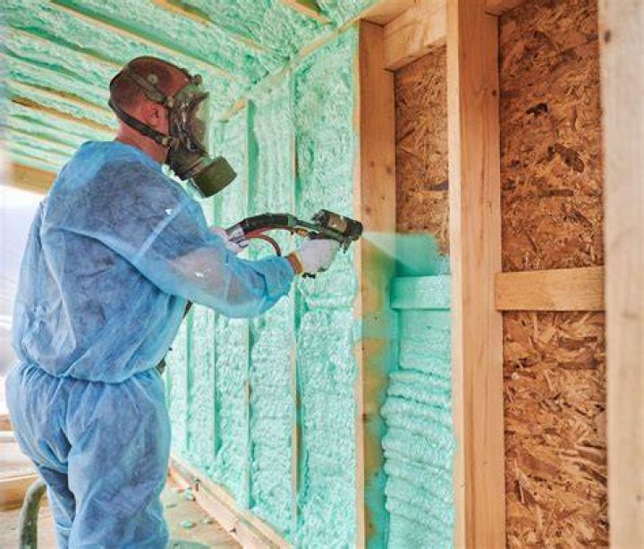 Do roaches eat spray foam insulation?