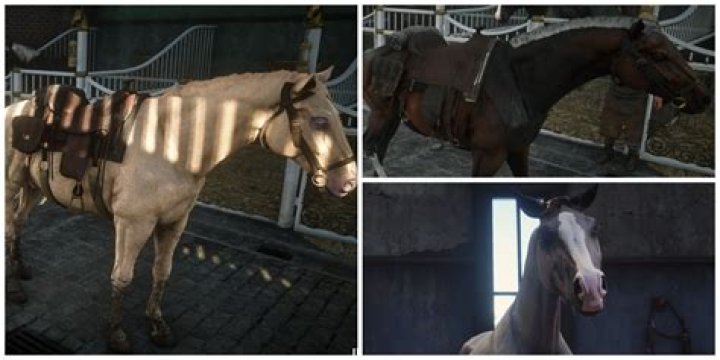 Do they actually ride horses in Outlander?