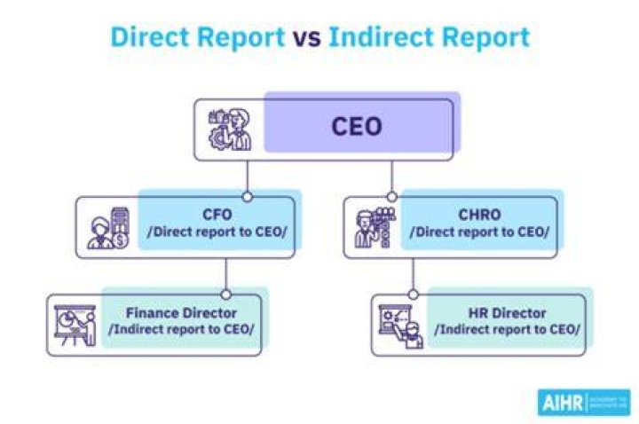 Do you have direct reports Meaning?