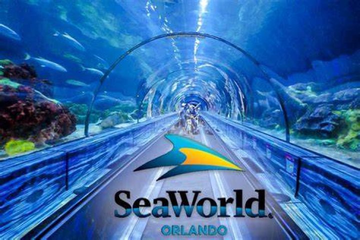 Do you need photo ID for SeaWorld?