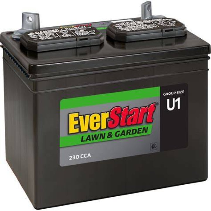 Does AutoZone have lawn mower batteries?