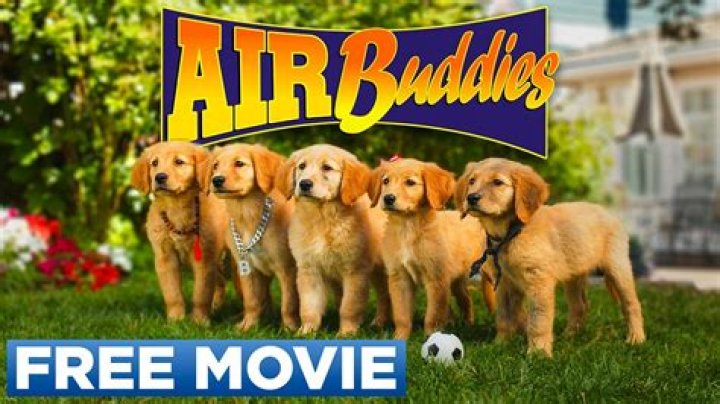 Does Bud Not Buddy have a movie?