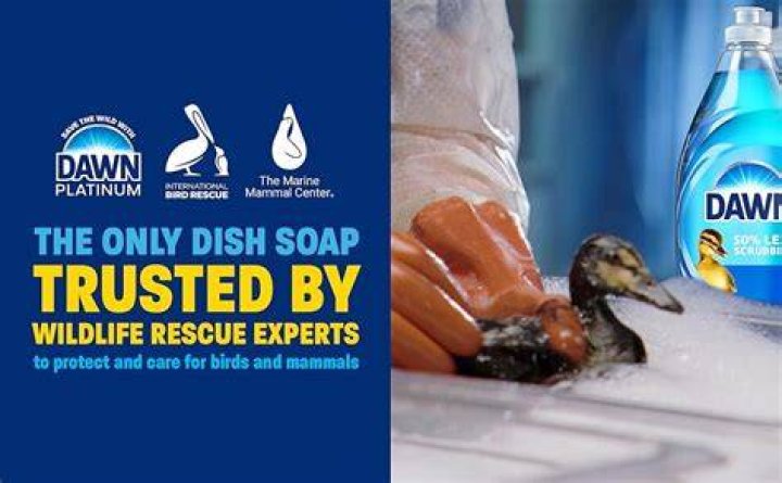 Does Dawn dish soap kill mold on dishes?