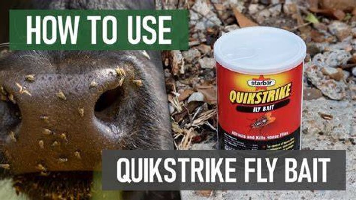 Does fly bait kill skunks?