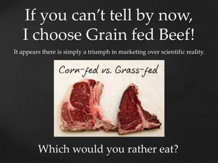 Does grass fed or grain fed beef taste better?