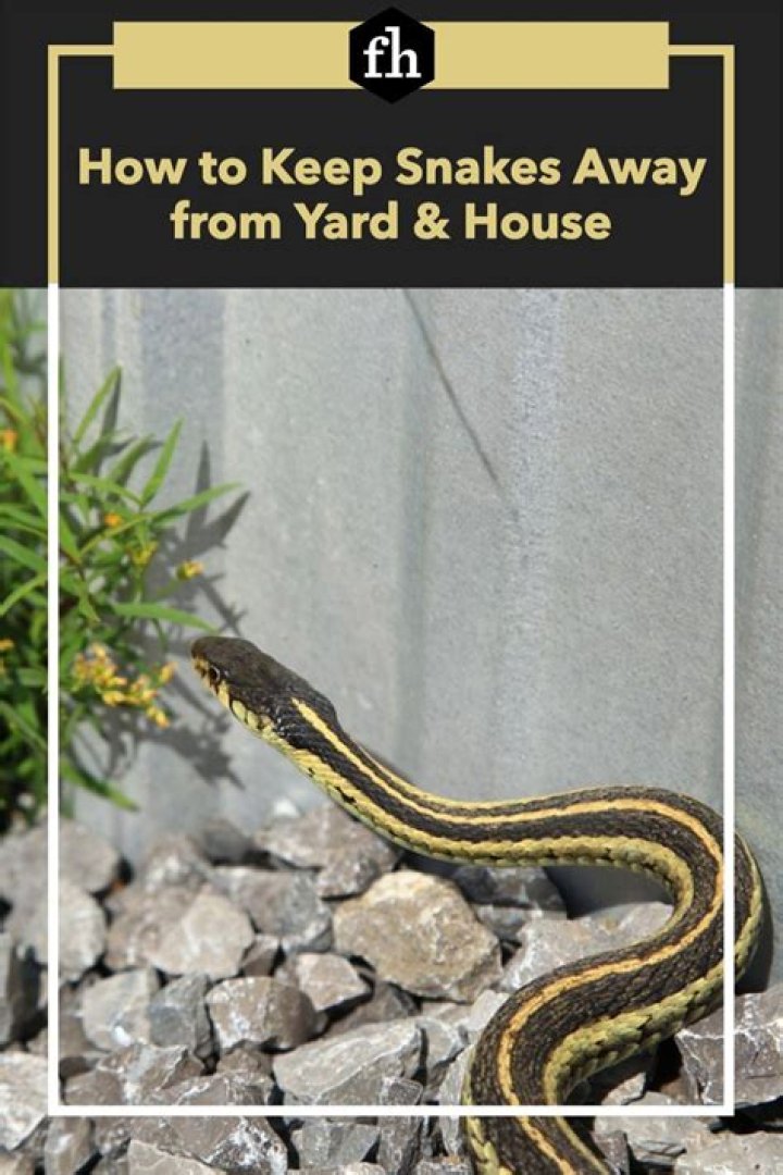 Does gravel keep snakes away?