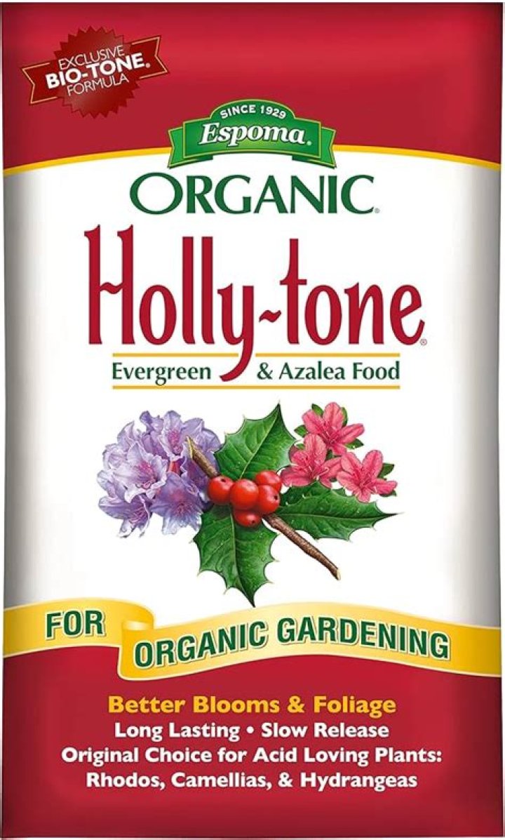 Does Holly Tone contain iron?