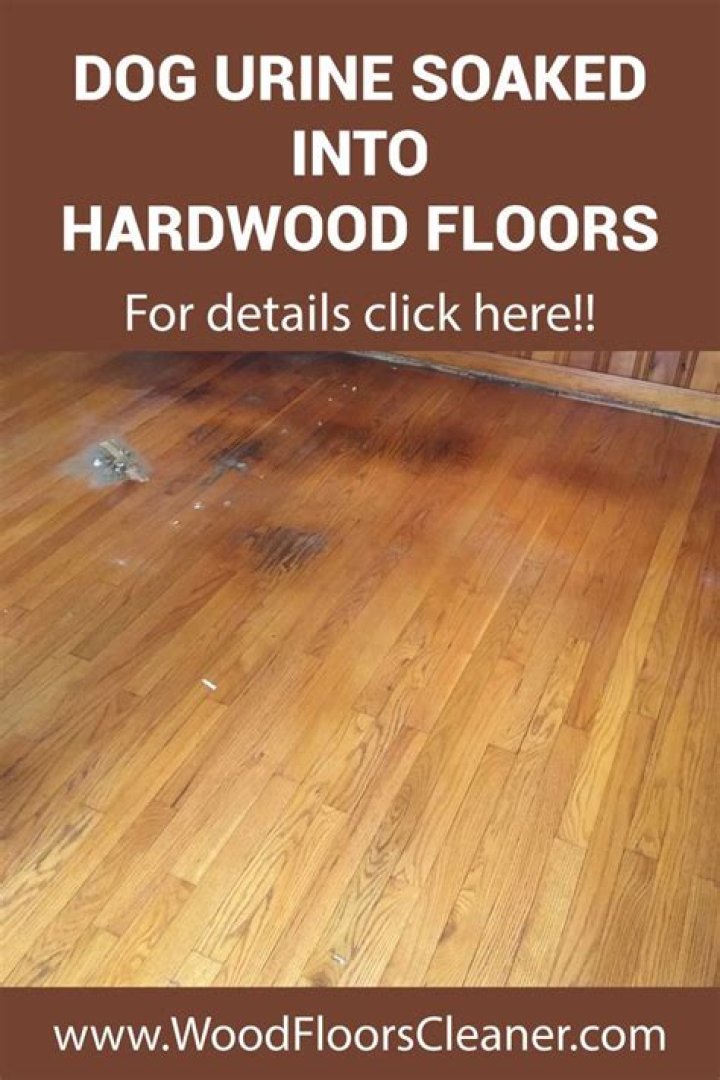 Does human urine ruin hardwood floors?