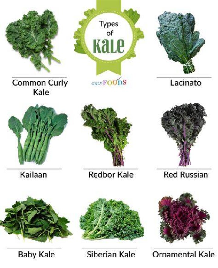 Does kale taste like turnip greens?