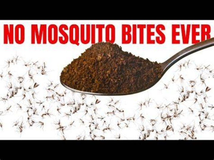 Does lemon and clove repel mosquitoes?