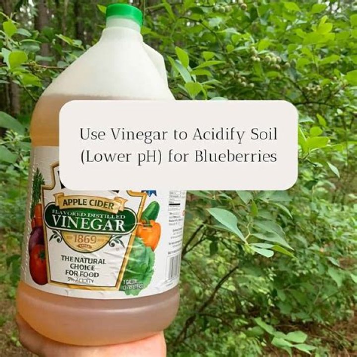 Does miracid acidify soil?