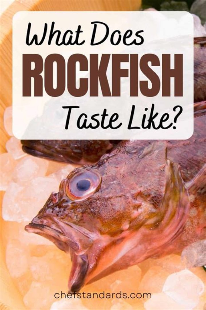 Does rockfish taste good?