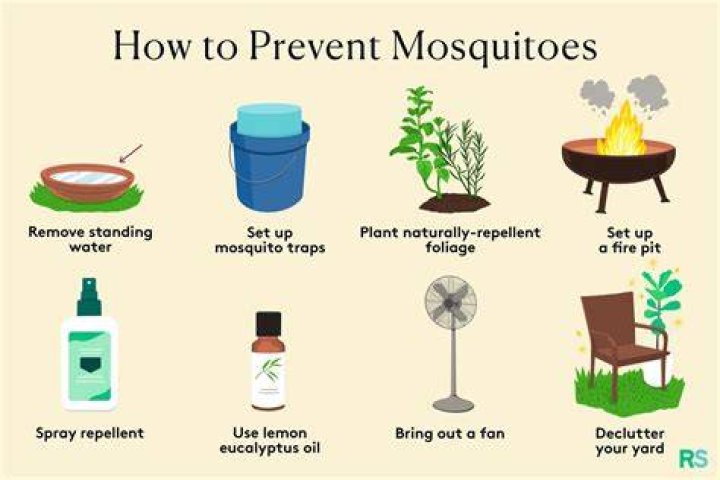 Does rubbing alcohol stop mosquitoes from biting?