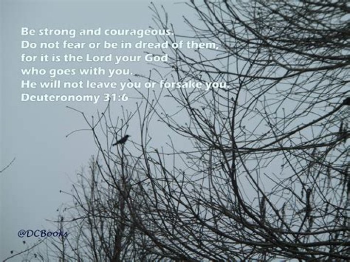 Does the Bible say do not be afraid 365 times?