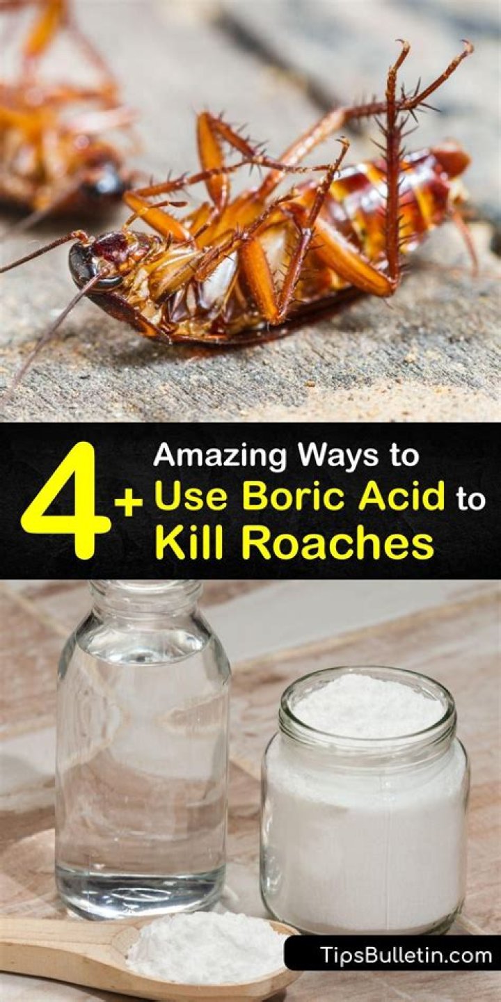 Does wd40 kill roaches?