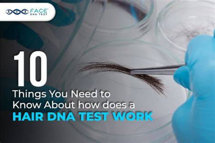 Does Wegmans hair test?