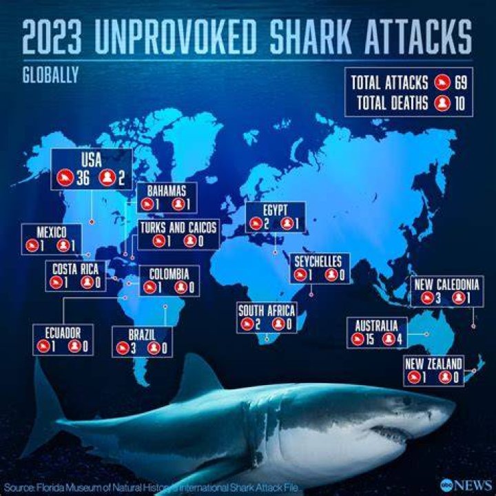 Has there ever been a shark attack in Georgia?