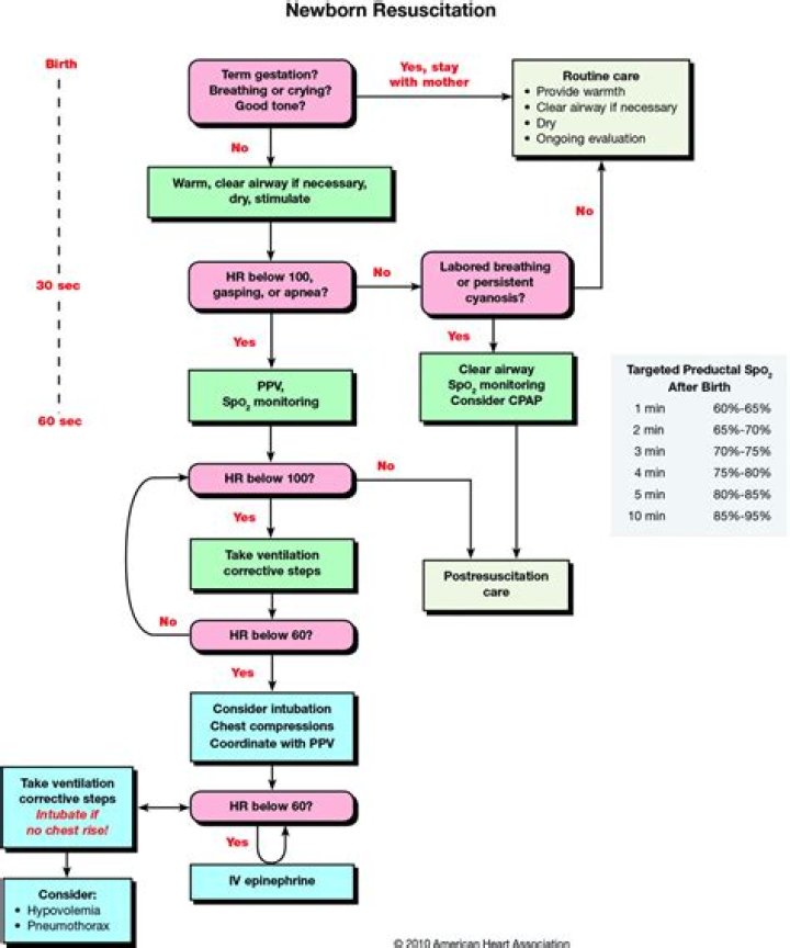Have determined a baby needs resuscitation at birth What are the initial steps of newborn care?