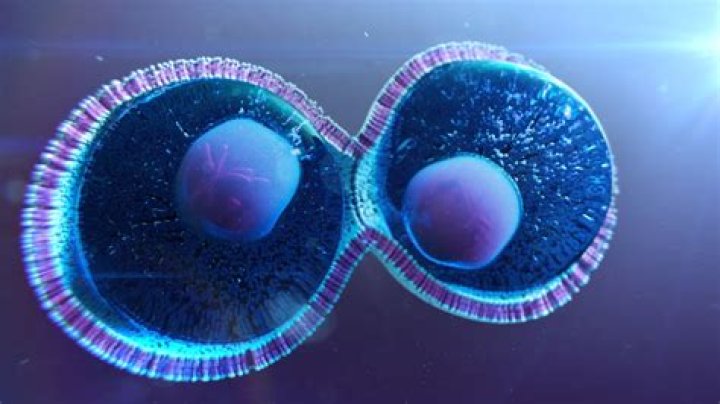 How are cell like a furnace?