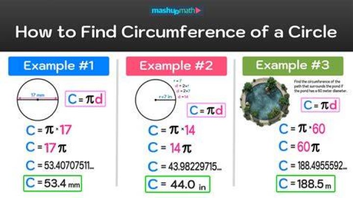 How big is a circumference of 5 inches?