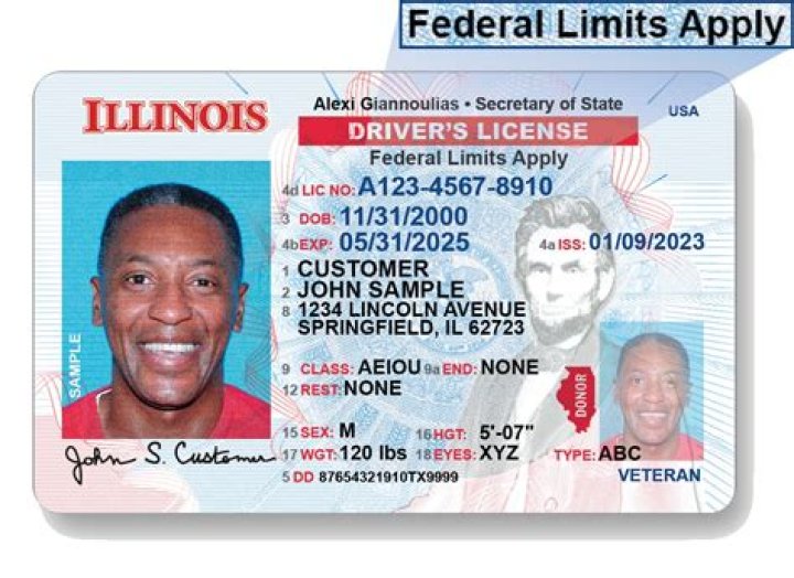 How can I check the status of my drivers license in Illinois?