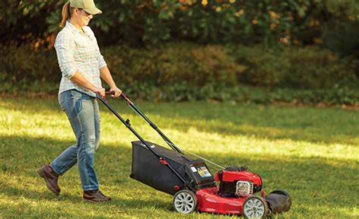 How can I tell what year my Toro mower is?