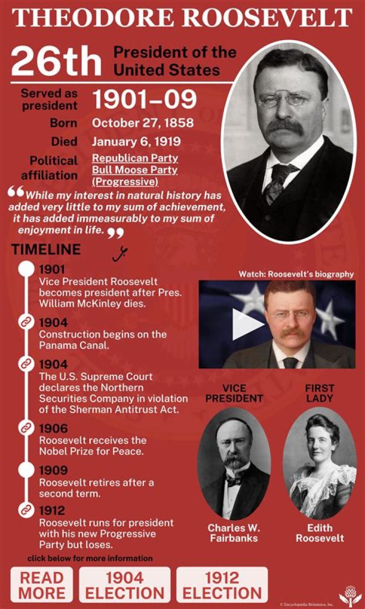 How did Theodore Roosevelt affect the progressive movement quizlet?