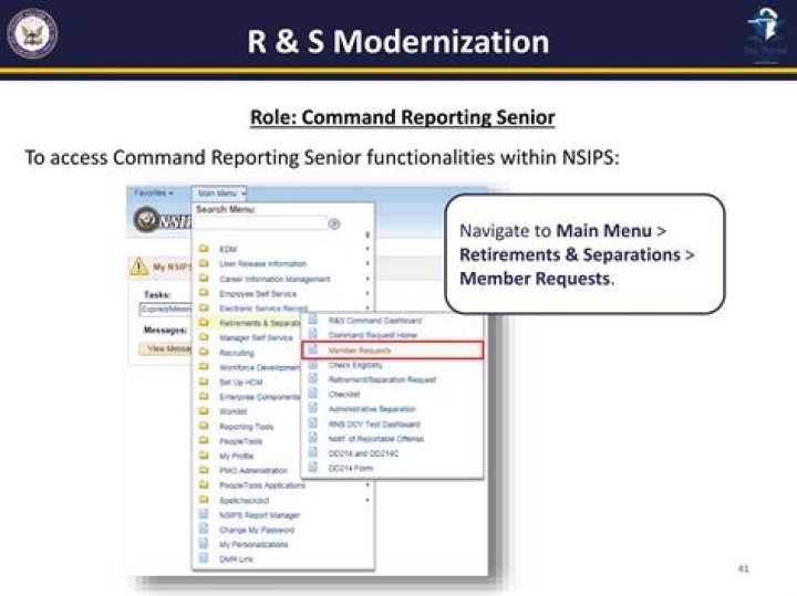 How do I access Nsips afloat?