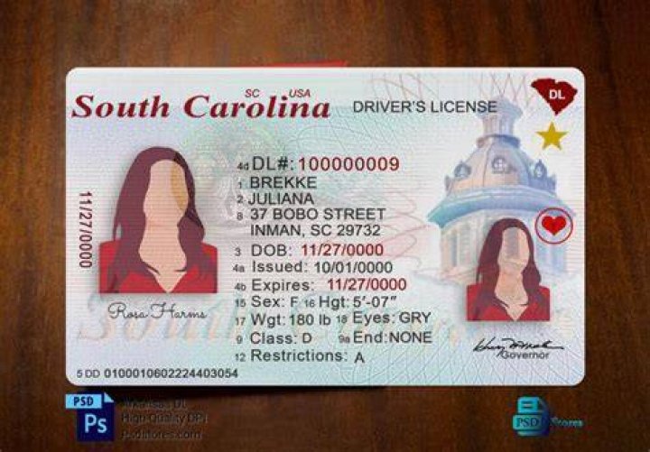 How do I check the status of my SC driver’s license?
