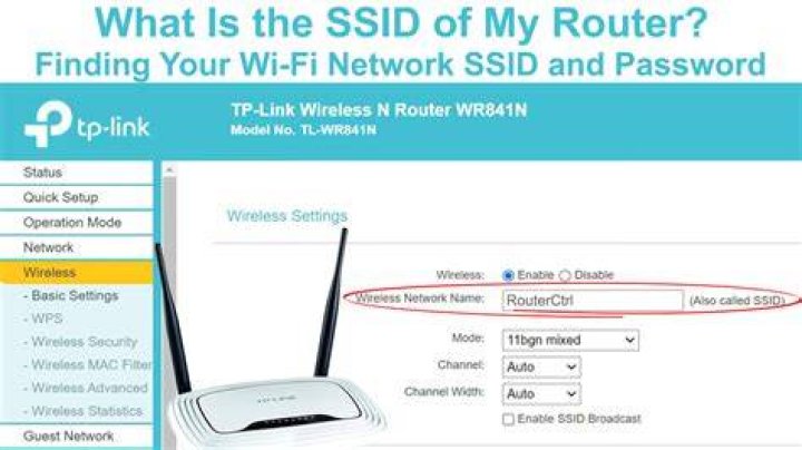 How do I connect my night owl to the Internet?