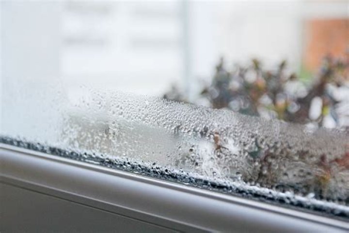 How do I get rid of condensation in my garage?