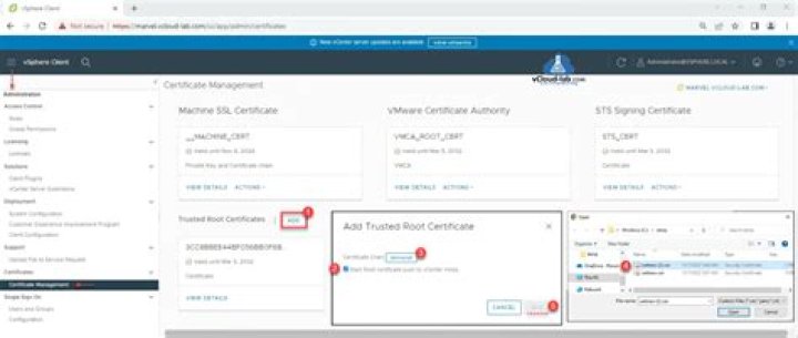 How do I renew a VMware certificate?