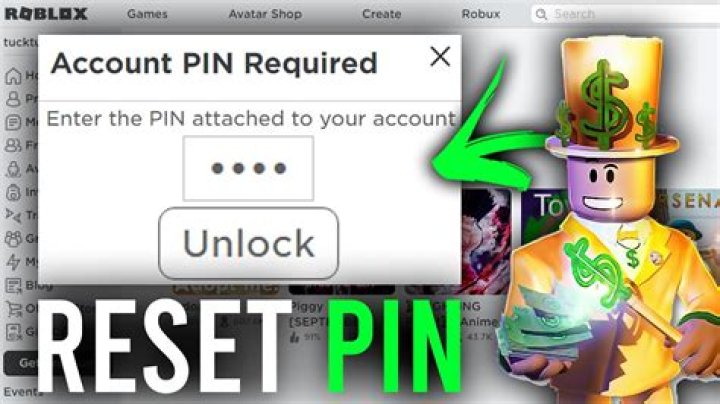 How do i reset my sprint pin number?