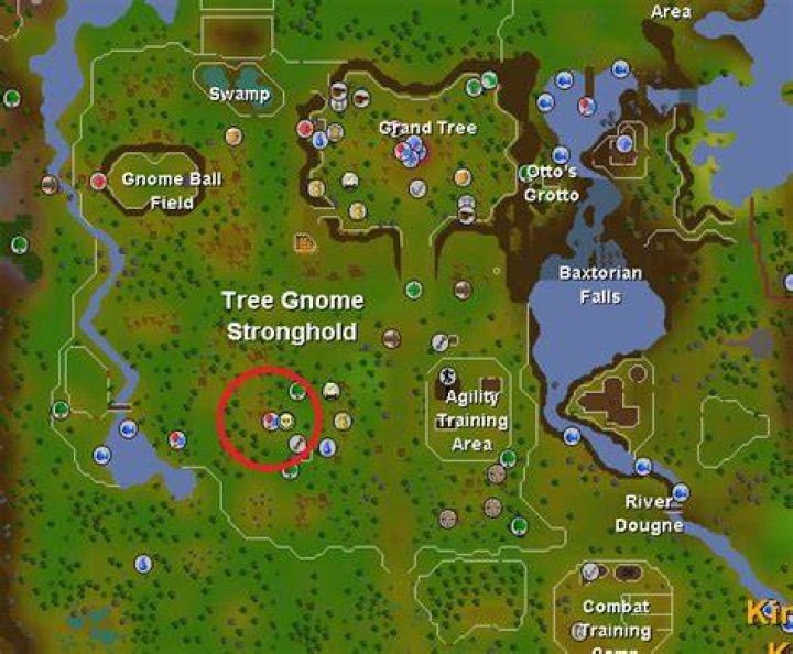 How do I teleport to the gnome stronghold?