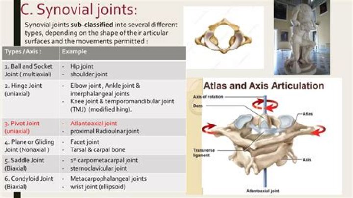 How do Nonaxial uniaxial biaxial multiaxial differ?