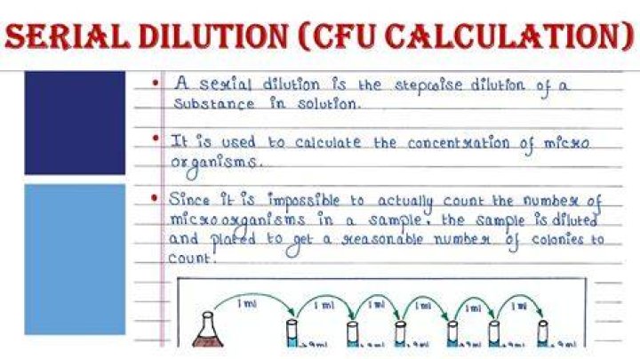 How do you calculate CFU g from dilution?