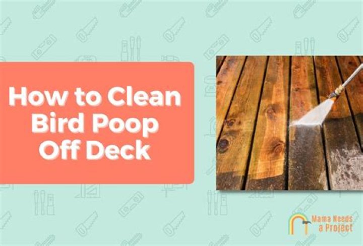 How do you clean dog poop off a wood deck?
