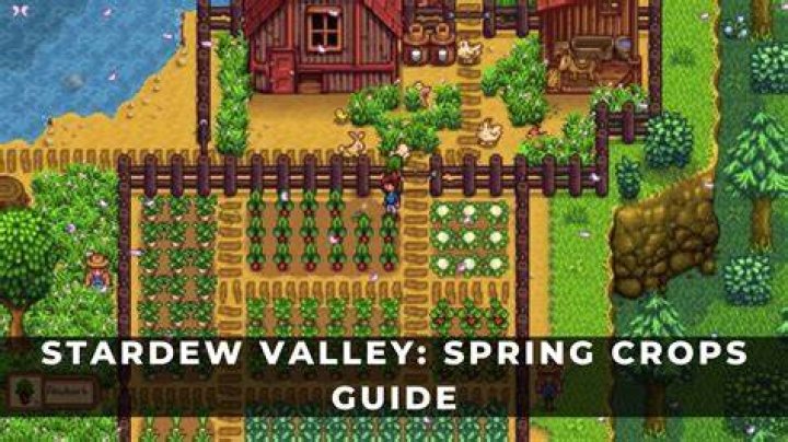 How do you get a daffodil in Stardew Valley?