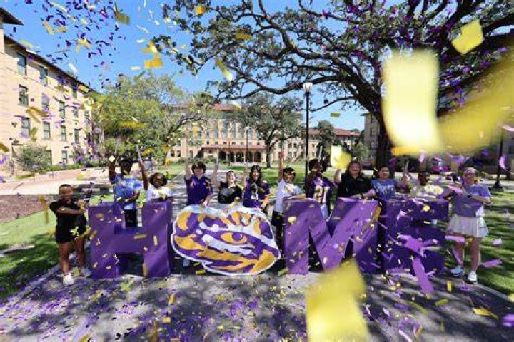 How do you get into LSU Honors College?