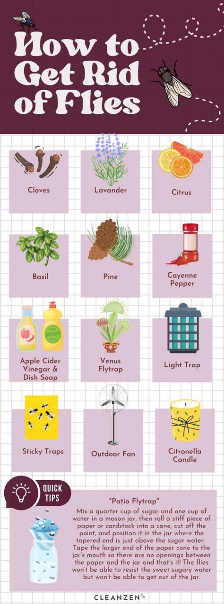 How do you get rid of fruit flies on succulents?