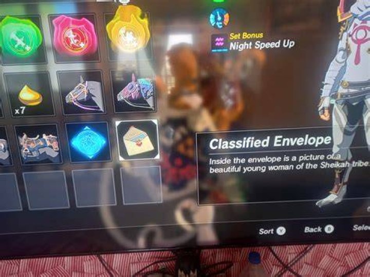 How do you get the classified envelope in Botw?