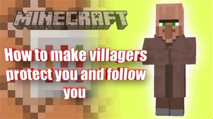 How do you get villagers to follow you?