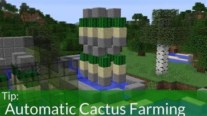 How do you make an automatic cactus farm in Minecraft PE?