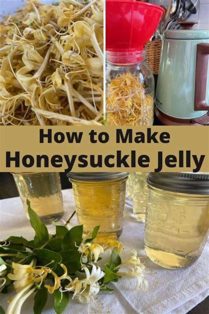 How do you make honeysuckle extract?