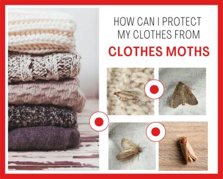 How do you protect wool clothes from moths?