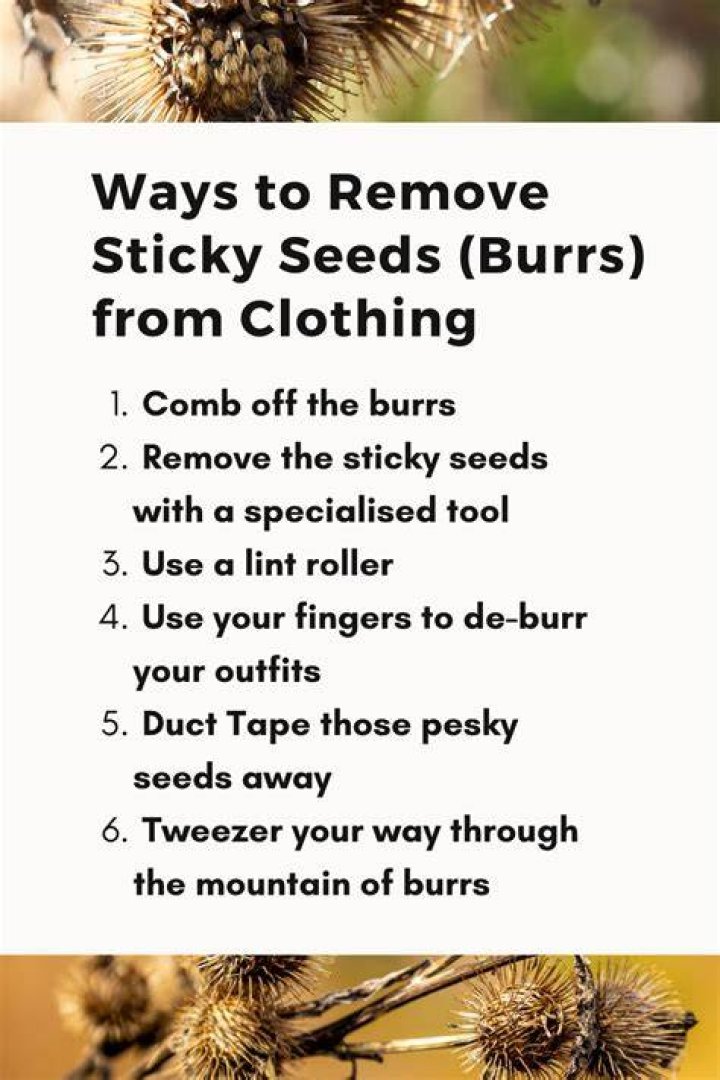 How do you remove small burrs from clothing?