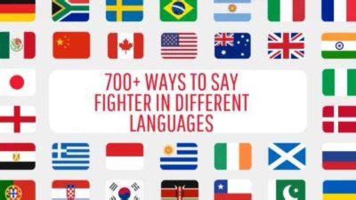 How do you say fighter in different languages?