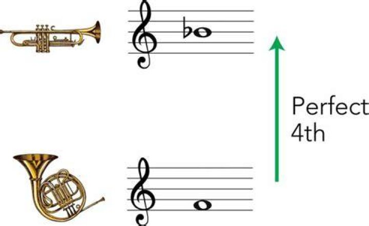 How do you transpose horn in F?