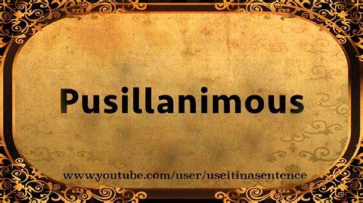 How do you use pusillanimous in a sentence?