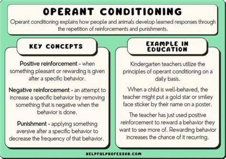 How does social learning differ from operant conditioning?